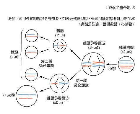 套數 意思